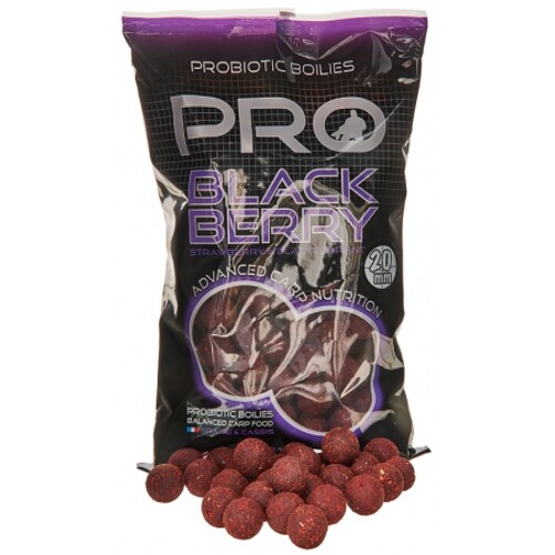 Starbaits Boilies Pro Blackberry 1kg