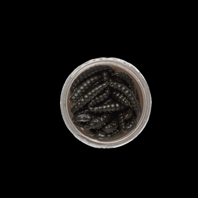 Osia Larva Berkley PowerBait Honey Worm Black