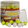 Starbaits POP-UP Boilies Concept Fluo Signal 80g