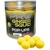 Starbaits POP-UP Boilies Ginger Squid 80g
